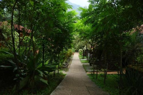 Blue Ginger Resort – Photos 2