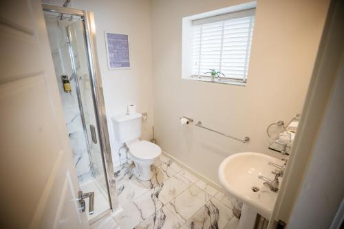 a bathroom with a shower and a toilet and a sink at Château Rhianfa in Menai Bridge
