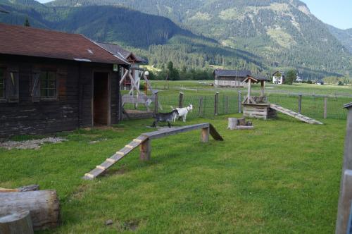 a couple of animals standing on a ramp in a field at Hallstatt Dachstein Inn in Gosau