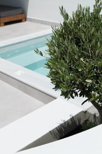 a plant sitting next to a swimming pool at Karat Suites in Vóthon