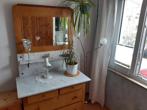 a bathroom with a mirror and a plant on a dresser at Ferienwohnung Altstadtflair in Schweinfurt
