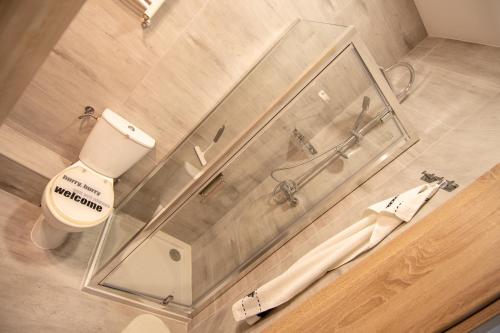 a bathroom with a toilet and a glass wall at Apartamenty Podwarszawskie in Stara Wieś