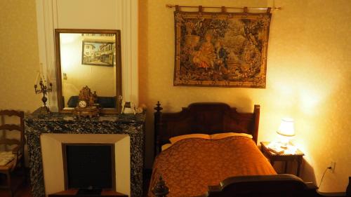 a bedroom with a bed and a fireplace and a mirror at Maison du Parc in Saint-Chinian