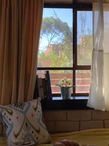 a bedroom window with a potted plant on a window sill at Out of the Wilderness in Midreshet Ben Gurion