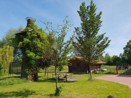 eine Blockhütte mit einem Picknicktisch und einem Baum in der Unterkunft Landhof-Erkner in Erkner