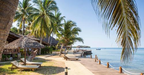 a beach with chairs and palm trees and the ocean at Corail Noir Hotel in Ambaro