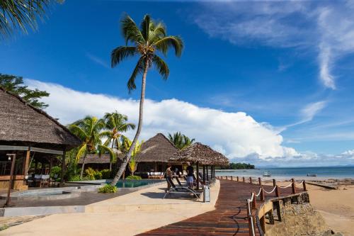 a resort with a palm tree and a beach at Corail Noir Hotel in Ambaro