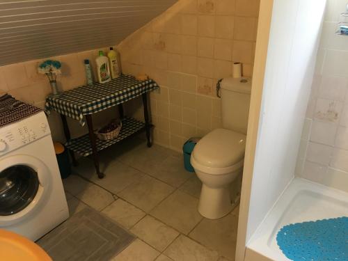 a bathroom with a toilet and a washing machine at Chez Ninette près des sources chaudes in Bouillante