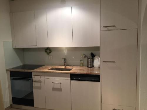 a kitchen with white cabinets and a sink at Ob Vierwaldstättersee in Emmetten