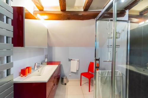 een badkamer met een wastafel en een douche bij LA MUSARDIERE in Auzouer-en-Touraine