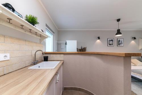 Η κουζίνα ή μικρή κουζίνα στο Quercus Apartments - Peace & Nature by the Bike Trail