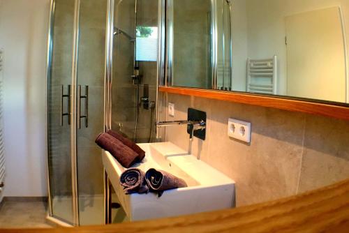 a bathroom with a sink and a shower with a mirror at Ferienwohnung Taunus in Görsroth