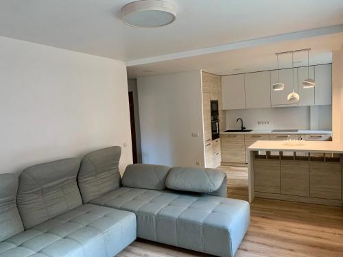 a living room with a couch and a kitchen at Jaunimo Apartamento in Alytus