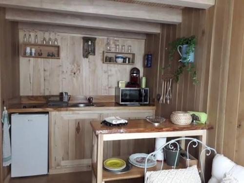 een keuken met een aanrecht met een magnetron en een koelkast bij La cabane du pêcheur in Montcuq