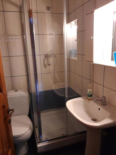 W łazience znajduje się prysznic, toaleta i umywalka. w obiekcie Wooden Nest w mieście Akhladherí