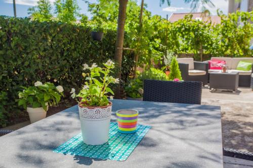 a potted plant sitting on a table with a cup at Apartman Madlen in Cres