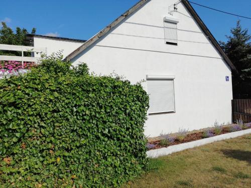 a white house with a hedge in front of it at Zacisze Kalwy in Kalwy