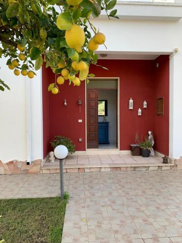 Eine Haustür eines Hauses mit einem Haufen Orangen. in der Unterkunft Casa Ohana in Serramanna