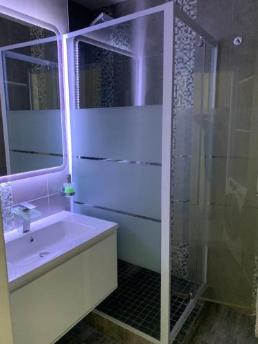 une salle de bain avec un lavabo et une douche en verre dans l'établissement Royal Standing- Terrasse & Parking Privé, à Évian-les-Bains
