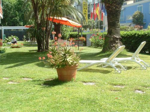 two lawn chairs and an umbrella and a potted plant at Hotel Marina in Marina di Massa
