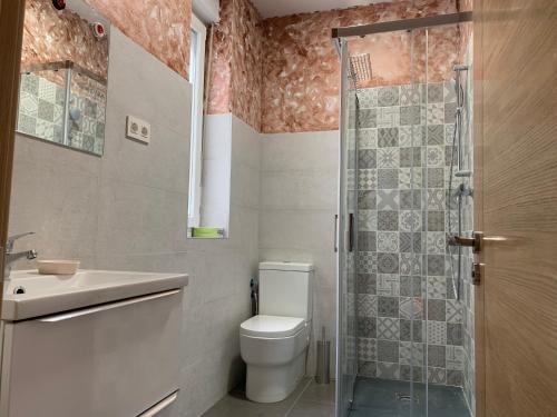 y baño con aseo, lavabo y ducha. en Alba Renueva 6, en León