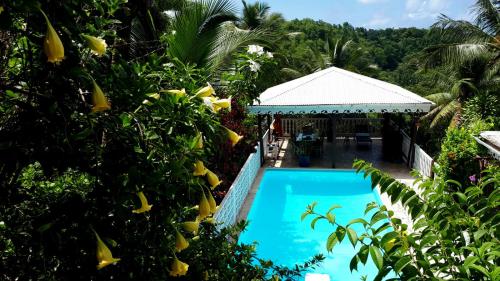 a swimming pool with a gazebo and trees at Les Hauts de Terrasson in Les Abymes