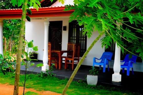 a house with blue chairs on the porch at Ceylon Resort in Wilpattu