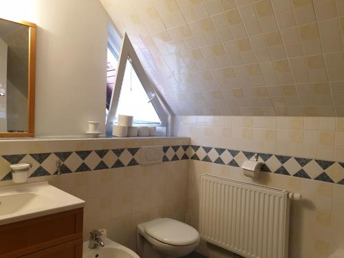 克拉尼斯卡戈拉Apartman Irvin的带马桶、水槽和窗户的浴室