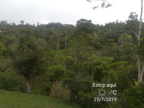 a lush green hillside with trees in the background at Quinta los volcanes in Turrialba