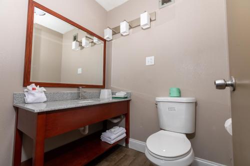a bathroom with a sink and a toilet and a mirror at Super 8 by Wyndham Goldsboro in Goldsboro