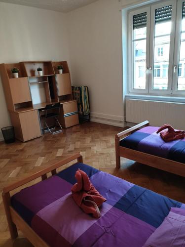 Grand appart confort - Hyper centre - Strasbnb