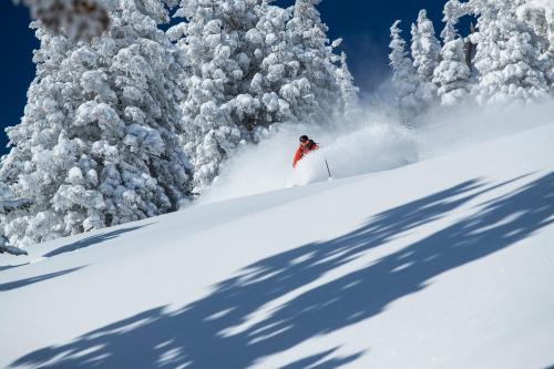 a person skiing down a snow covered slope next to trees at Alta's Rustler Lodge in Alta