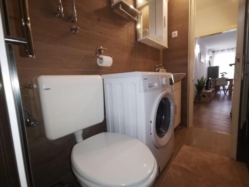 A Charming One-bedroom Apartment in the Heart of ‘Rovinj’