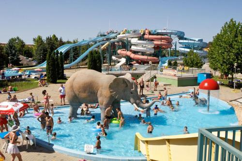 um grande elefante em pé em uma piscina em um parque aquático em Anita Apartman em Hajdúszoboszló