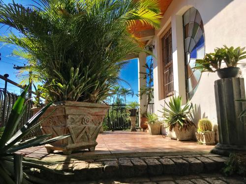 阿雷格里港的住宿－Residência Acolhedora，庭院里种有盆栽植物的房子
