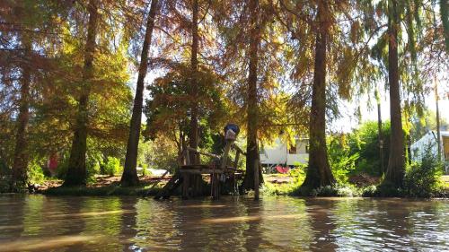 una mesa de picnic en medio de un bosque inundado en Cabañas Al Río Delta Tigre en Tigre