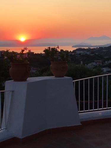 two potted plants on a balcony at sunset at Poggio Aragosta Hotel & Spa in Ischia