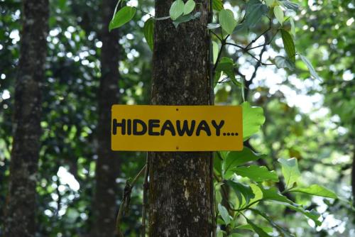 Vamoose Hideawayに飾ってある許可証、賞状、看板またはその他の書類