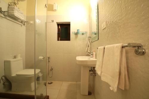 ein Bad mit einem WC, einem Waschbecken und einer Dusche in der Unterkunft Khatu Haveli in Jaipur