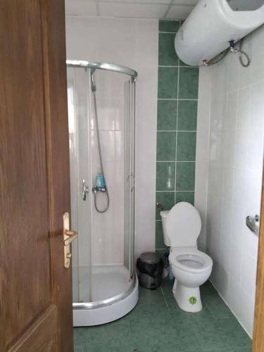 a bathroom with a shower and a toilet in it at Bobekova Kashta in Panagyurishte