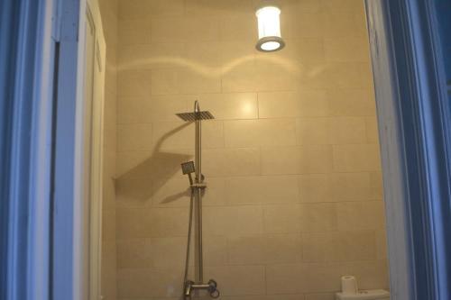 a shower stall with a shower head in a bathroom at Dzveli Galavani -Old Wall in Tʼelavi