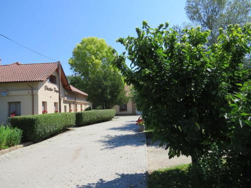 a tree in the middle of a driveway at Pásztor Fogadó in Martfů
