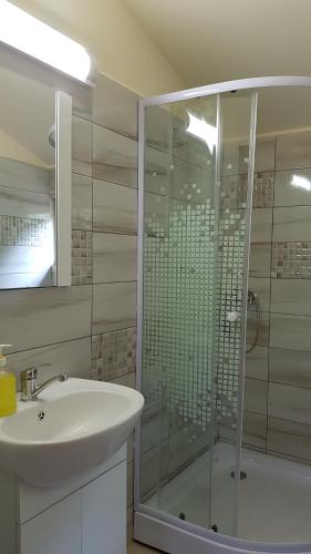 a bathroom with a glass shower and a sink at Pensiunea Casa Motilor in Bucium