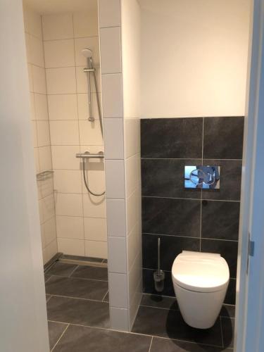 uma casa de banho com um WC e um chuveiro em de hooiberg em Walem