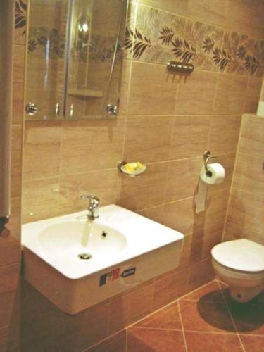 a bathroom with a sink and a toilet at Zajazd Irys in Sosnowiec