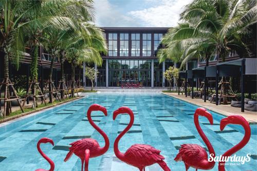 a group of flamingos standing in a swimming pool at Saturdays Residence by Brown Starling in Rawai Beach