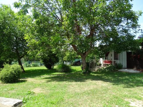 un cortile con un albero e una casa di szt.flórián a Cserszegtomaj