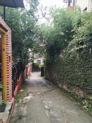 an alley with trees and a brick wall at Family Peace House, Kathmandu in Kathmandu