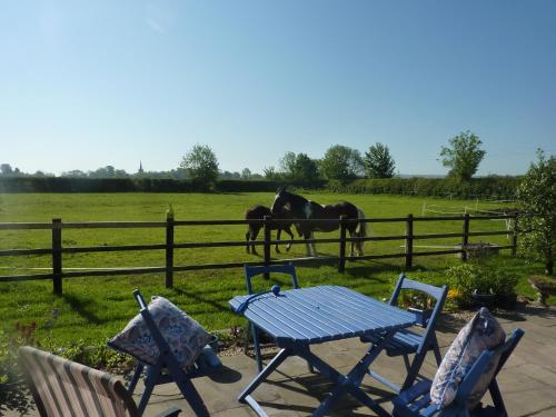 Naktsmītnes The Paddock at Peacock Farm near Belvoir Castle pilsētā Redmile fotogalerijas attēls