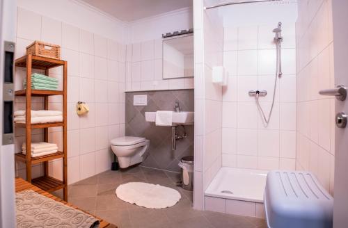 a bathroom with a shower and a toilet and a sink at Landhaus Hindenburg in Bad Gleichenberg